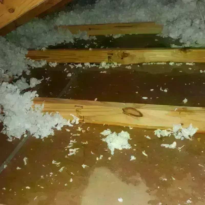 Attic Water Damage in Albany, GA