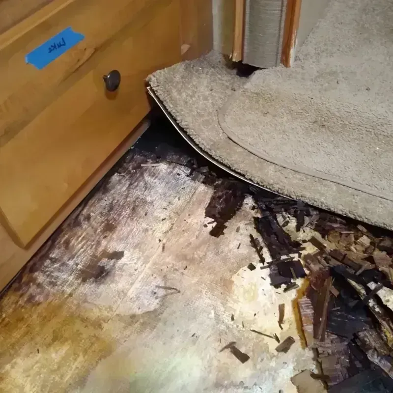 Wood Floor Water Damage in Albany, GA